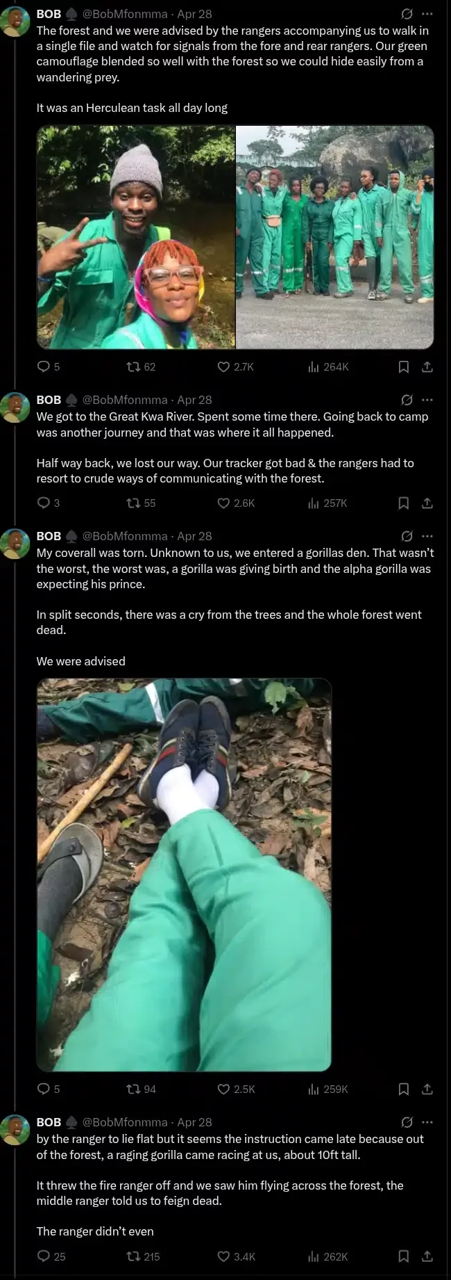 Wildlife conservator shares encounter with gorilla after accidentally entering den during birth