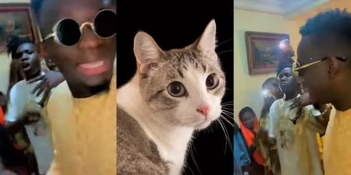 "A party for cat that gave birth" - Senegalese man and friends throw joyous party as cat welcomes new kittens