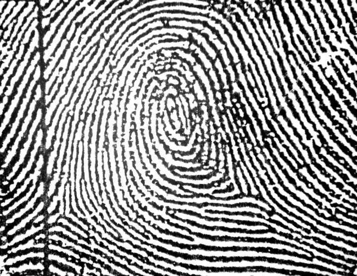 8 Different Types of Fingerprints