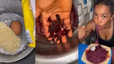 Nigerian lady wows social media with Zobo Noodles culinary skills
