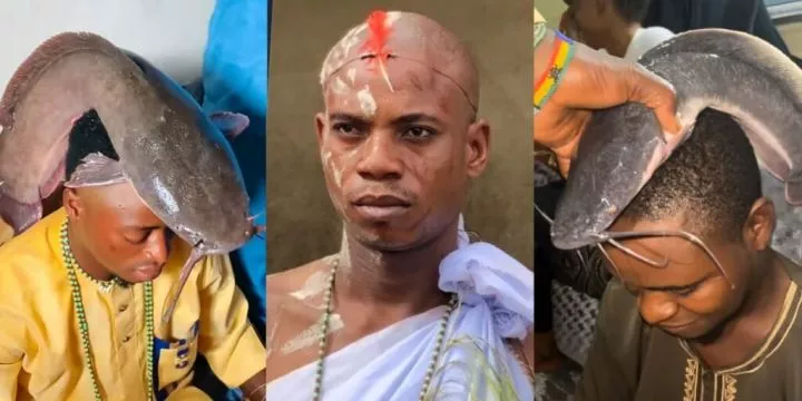 'My matter don pass fish, put crocodile' - Reactions as herbalist places live catfish on clients' heads