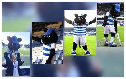 Flirt scandal: QPR's Mascot Jude the Cat fired after making romantic advances to female fans
