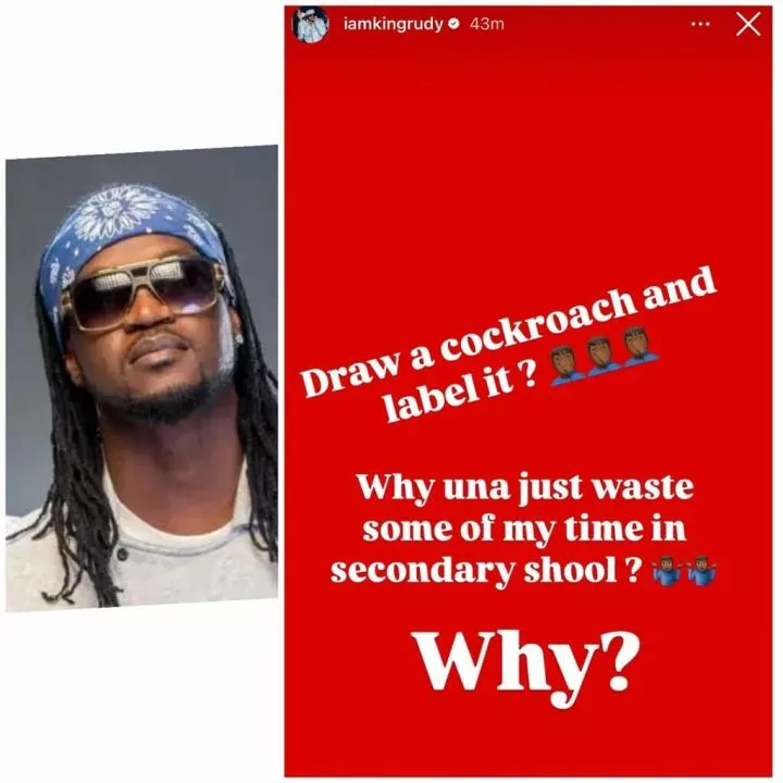 'Una Waste My Time' - Paul Okoye recounts how his teacher asked him to label cockroach