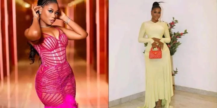 Sophia Momodu fires back at comment about her long nails