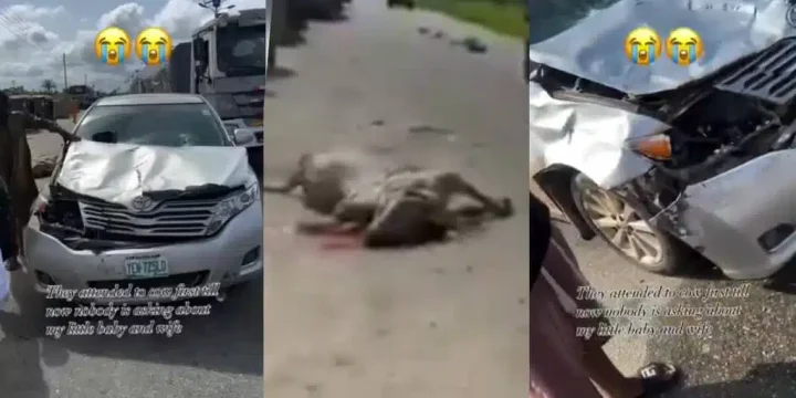 Man rants as herder's cow rams into his car with family inside Man rants as herder's cow rams into his car with family inside