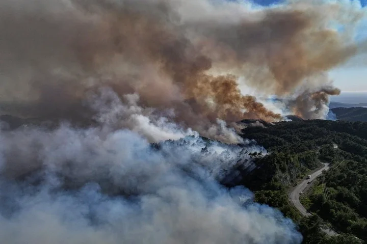 The week around the world in 20 pictures