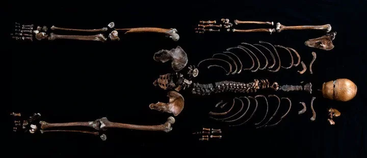 Mystery of human bones found in castle well is finally solved as DNA matches skeleton with 800-year-old saga figure