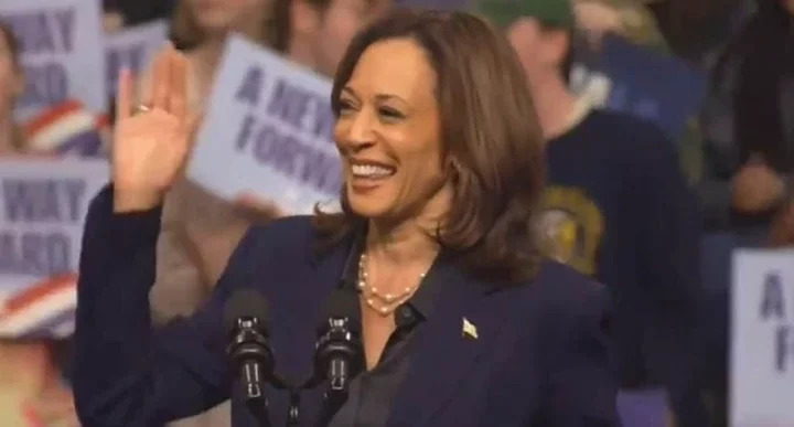 Trump supporter reveals Kamala Harris' 'evil' response when he held up cross around his neck after being told he was 'at the wrong rally'