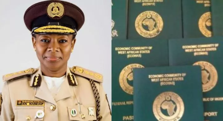 NIS launches investigation into woman who tore her husband's passport at Lagos Airport (Video)