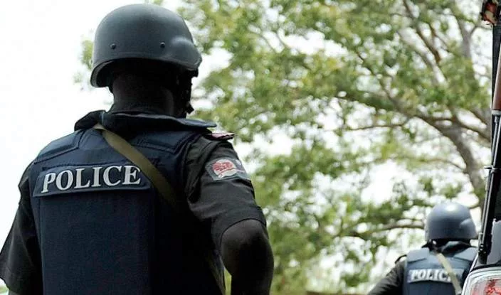 Police warns Nigerians against using the viral new slogan ''No gree for anybody''