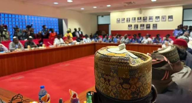 Senator storms out of committee room as IGP Egbetokun presents 2025 budget