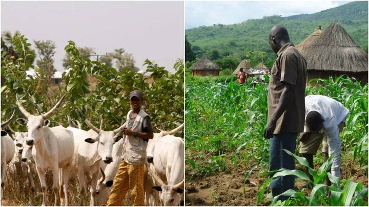 Fresh herders, farmers clash claims four lives in Taraba community