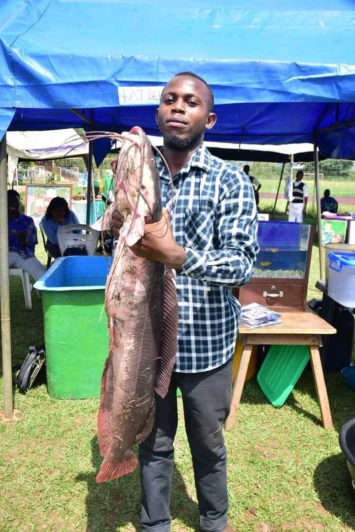 FUTA displays two giant African catfish reared at its fish farm for five years