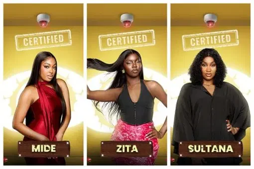 BBNAIJA 10: Meet All the Housemates