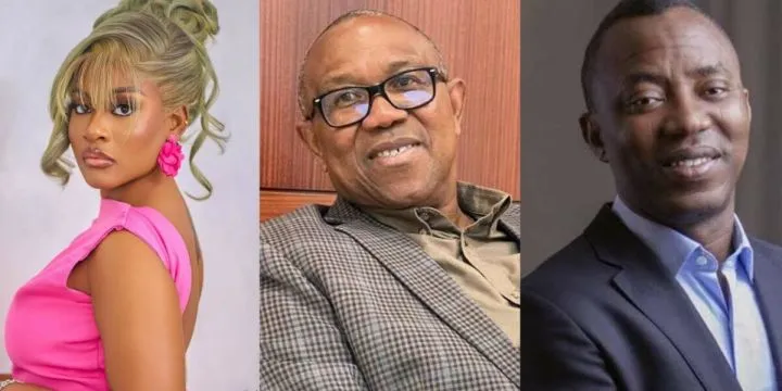 Peter Obi is no saint; Sowore our only hope - Phyna