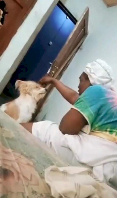 Hilarious video of a Nigerian mother scolding her stubborn dog and expecting it to respond (watch)