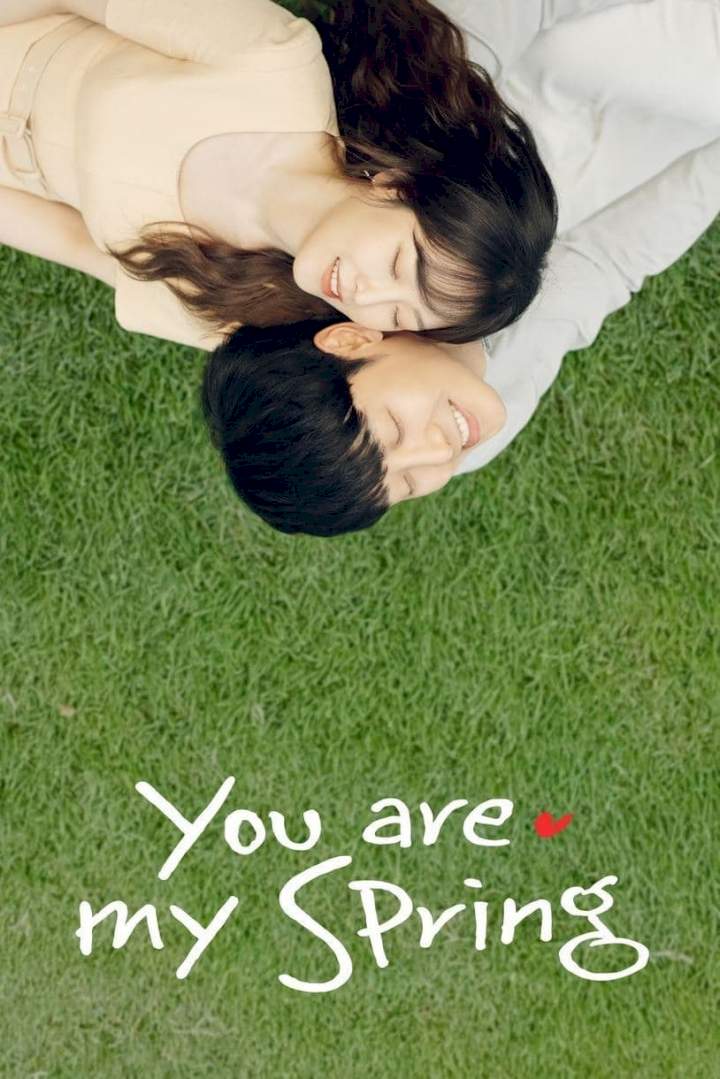 You Are My Spring - Korean Drama