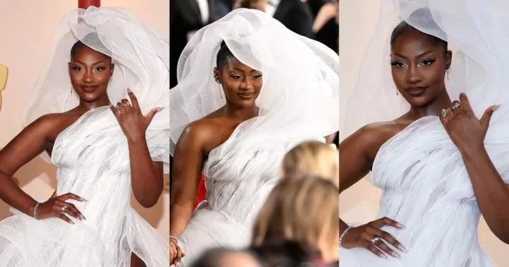 Netizens drag Tems over 'view blocking' outfit to 2023 Oscars Award