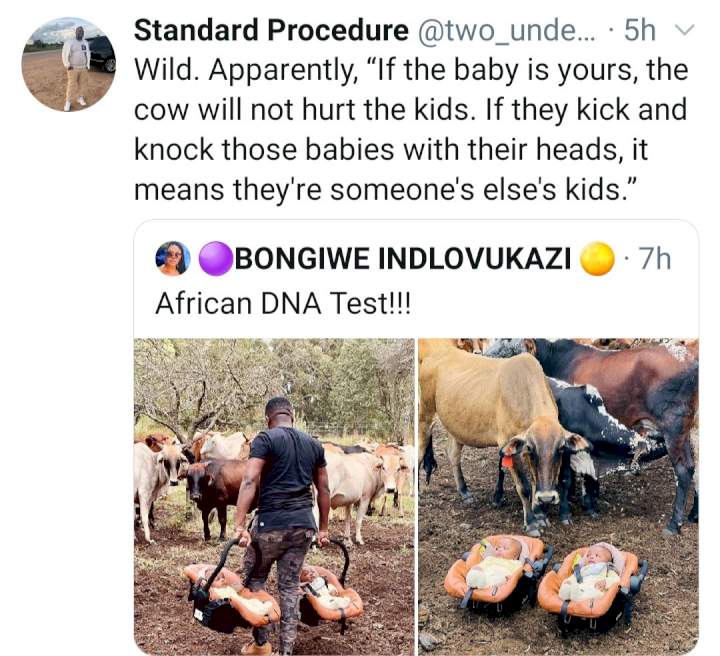 South Africans share 'African DNA test' used by members of their community to determine if a newborn belongs to a family