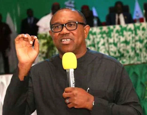 Why I Won't advise Peter Obi to publicly talk about the 'alleged' leaked tape - Akin Osuntokun