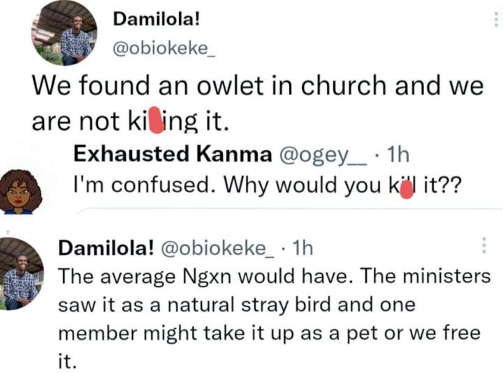 Owlet escapes being killed after it strayed into a Lagos church