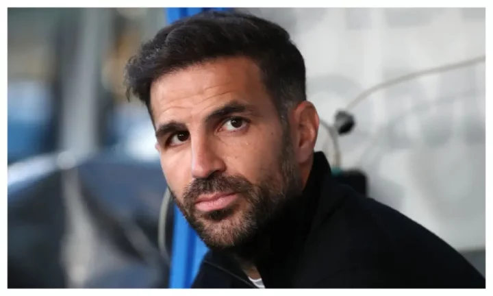 Serie A: Fabregas in shock move to replace Inzaghi as Inter Milan manager