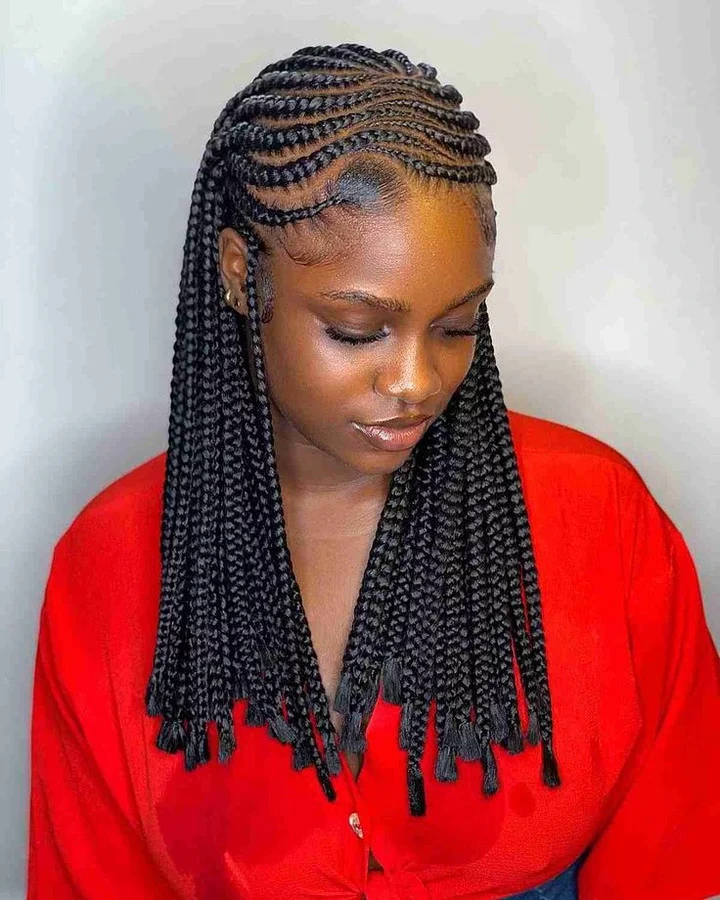 Charming And Beautiful Braided Hairstyles Ladies Can Wear to Look Cool