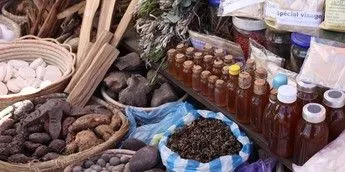 Traditional Medicine practitioners on social media make unverified claims [DailyPost]