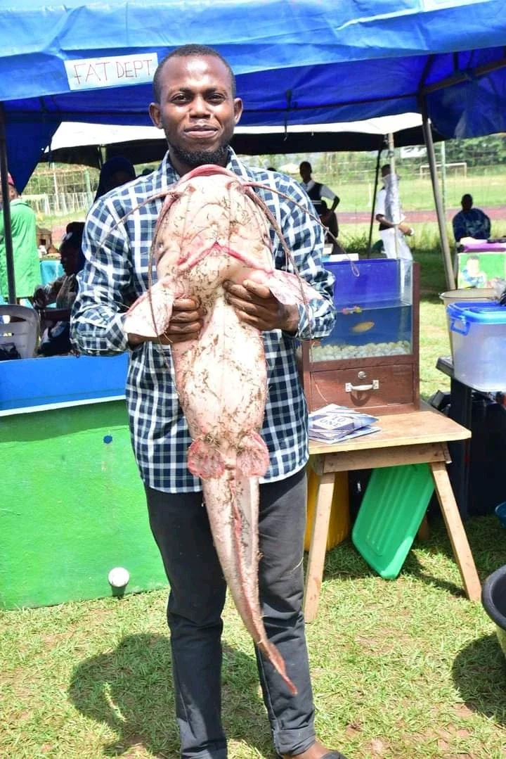 FUTA displays two giant African catfish reared at its fish farm for five years