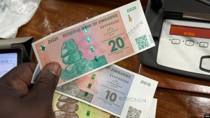 Zimbabwe's new currency faces headwinds five months on