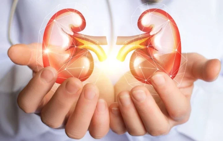 Foods You Should Stop Eating to Prevent Kidney Problems