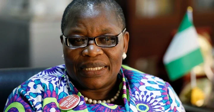 Presidential jet: No argument justifies Tinubu buying 14 year old aircraft - Ezekwesili