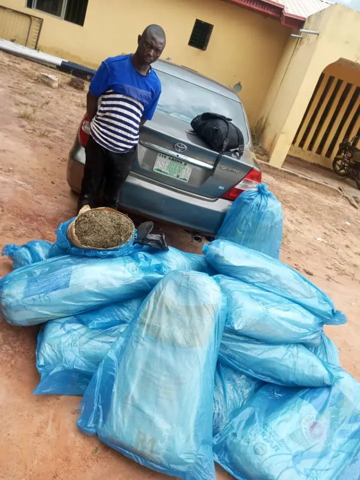 Police arrest suspected drug trafficker, recover vehicle, 15 bags of Indian hemp