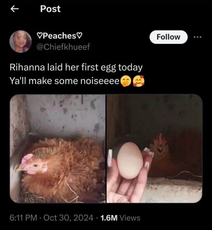 Lady celebrates on social media as her hen, Rihanna, lays first egg