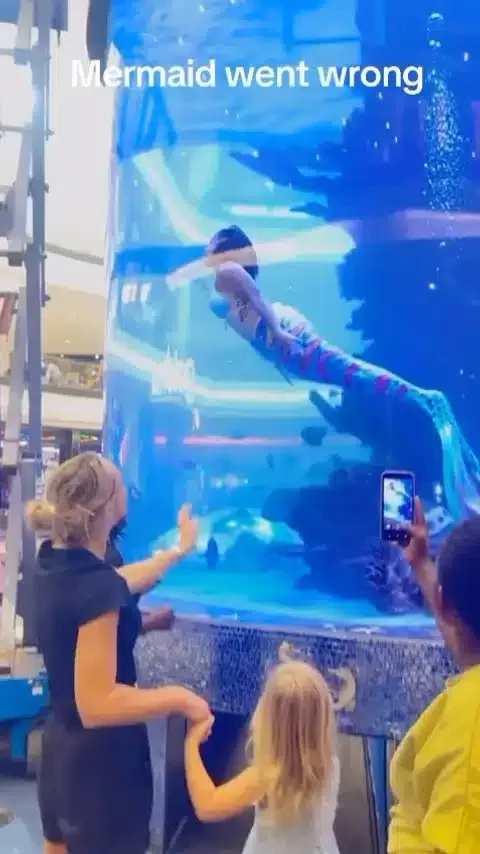 Moment mermaid almost drowns in an aquarium tank - Torizone