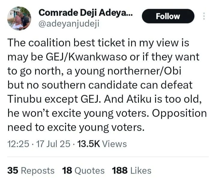 No Southern candidate can defeat Tinubu except GEJ - Deji Adeyanju