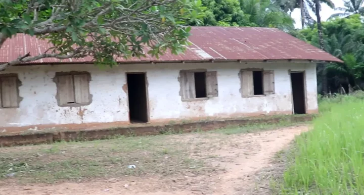 Snakes, lizards take over Benue public schools as teachers, pupils abandon classes
