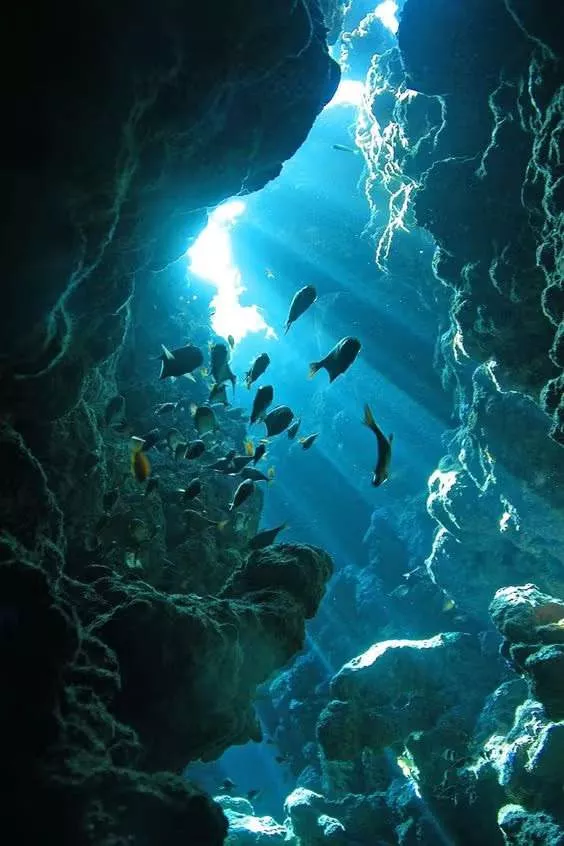 7 mind-blowing facts about the ocean