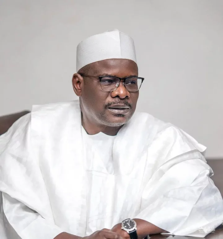 Tinubu has liberated LGs from governors' suffocation - Ndume
