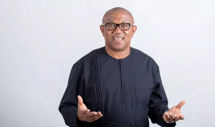 2027 Elections: LP's ticket no longer reserved for Obi - Abure