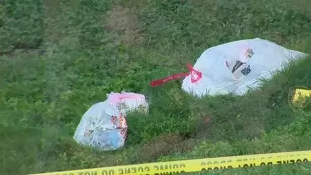 Man taking out trash slips in mud and accidentally shoots himself d�@d