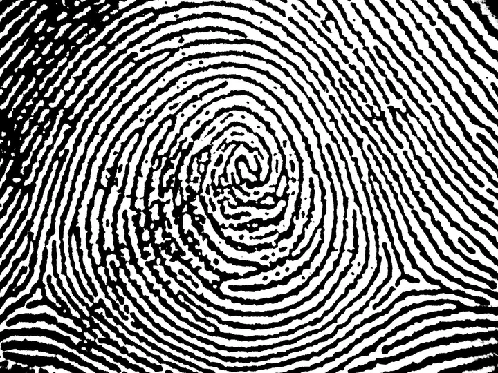 8 Different Types of Fingerprints