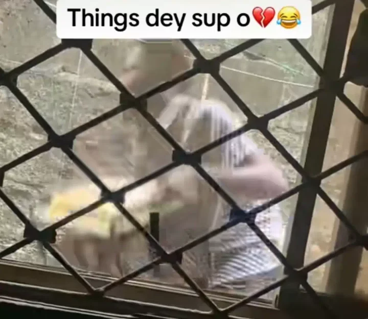 'E don red' - Young Nigerian jumps fences to steal generator, caught on camera