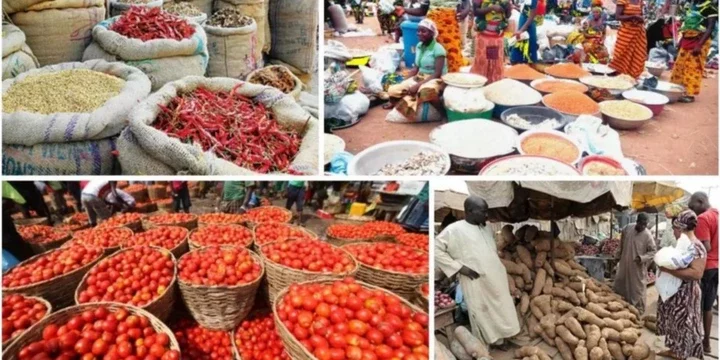 Inflation to drop to 24.7%, forex rate to average N1300/US$1 in 2025 - NESG