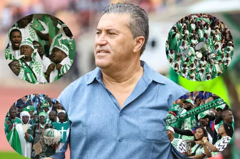 Super Eagles: I will contribute - Nigerian fans ready to donate so NFF can sack Peseiro