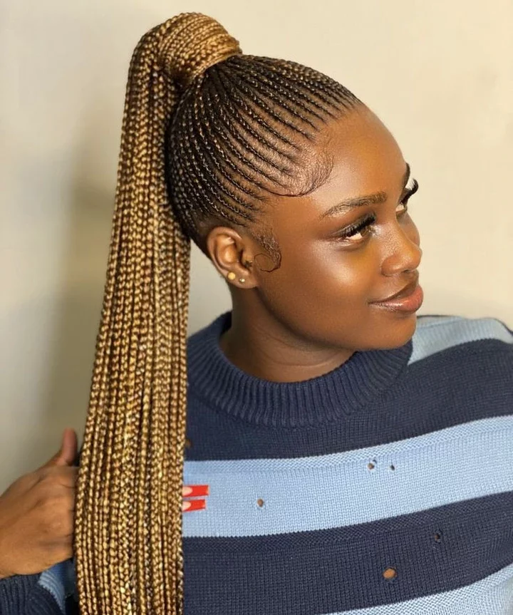 Trendsetting Braid Hairstyles for Black Women