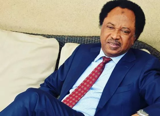 Shehu Sani Laments Epileptic Power Supply in Nigeria