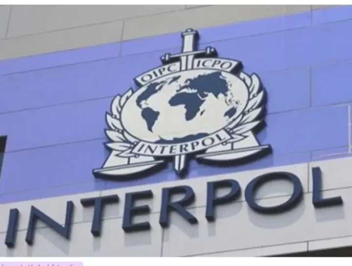 INTERPOL declares 14 Nigerians wanted for drug, human trafficking