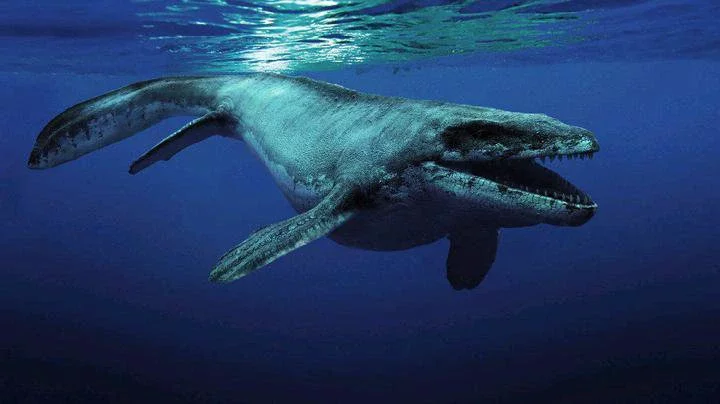 5 Aquatic Animals You Should Thank God No Longer Exists (Photos)