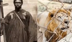 Why Nigerian prophet was torn apart by lions at University of Ibadan zoo